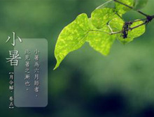 ҽ��֧�У�С�������м��������γԳ�������