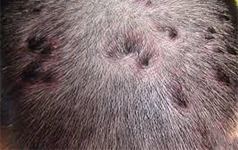 ʲô��ͷ����м������ô�αȽϺã�