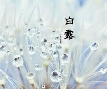 ���հ�¶����м����������Ҫ���ˣ�