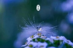 ��һ�����������ֵĽ������ˣ���м��������֪