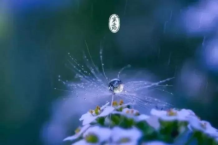 ��һ�����������ֵĽ������ˣ���м��������֪